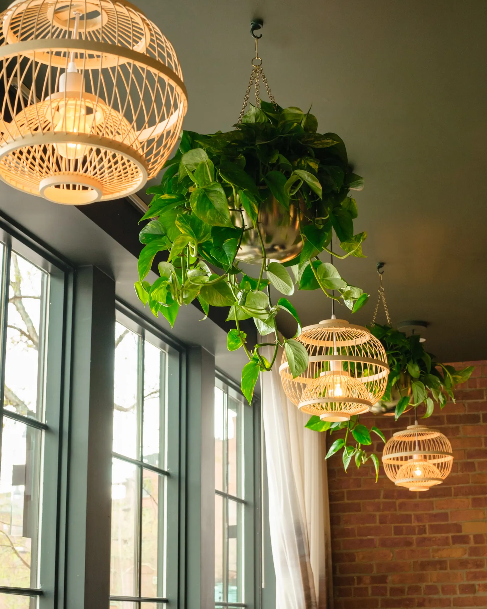 Plants hung from rattan pendants in front of the glazing.