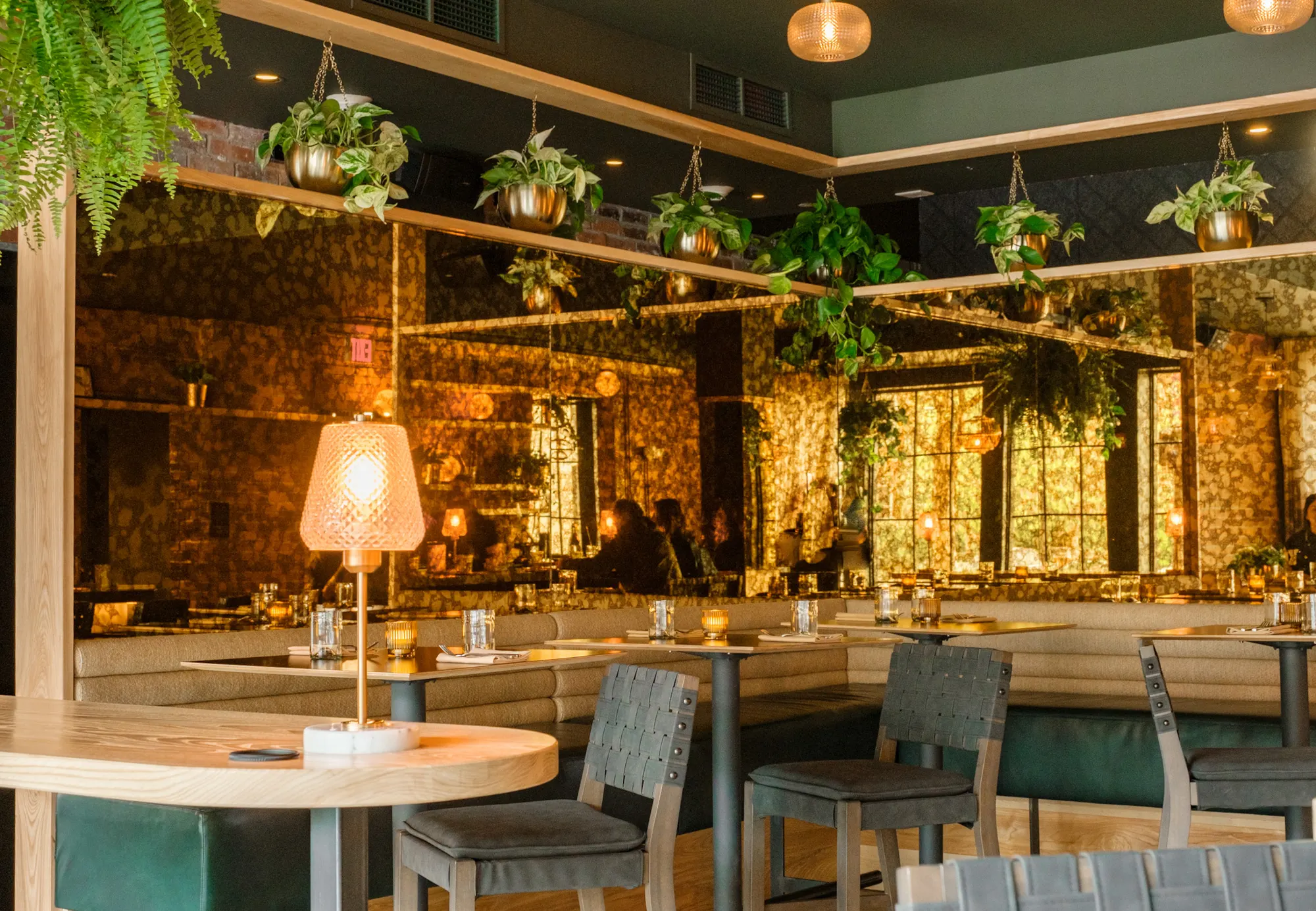 The bar at Althea, a mirrored wall with lamps and hanging plants