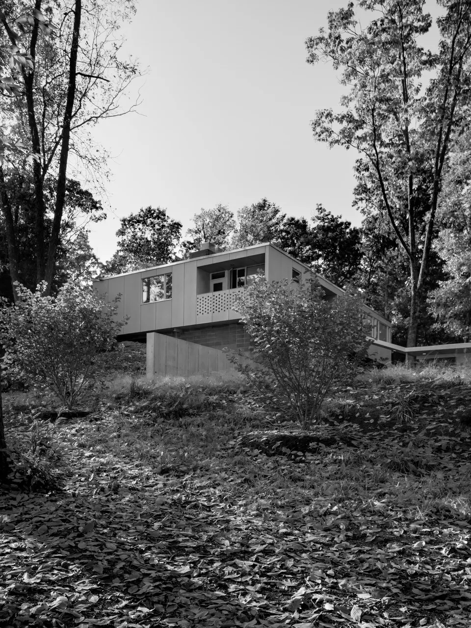 The upper storey and its screened balcony at the top of a wooded slope.