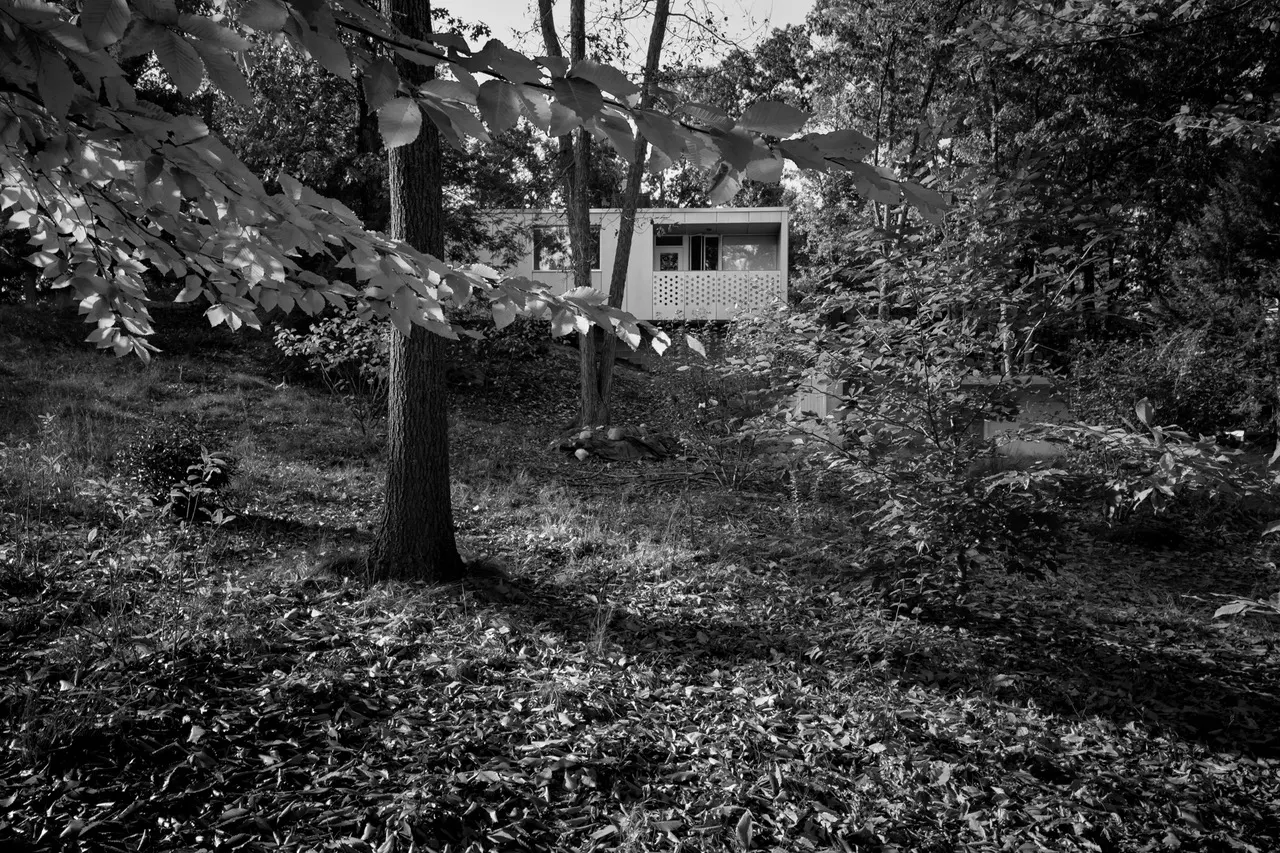 The balcony glimpsed through branches across a leaf-covered slope.