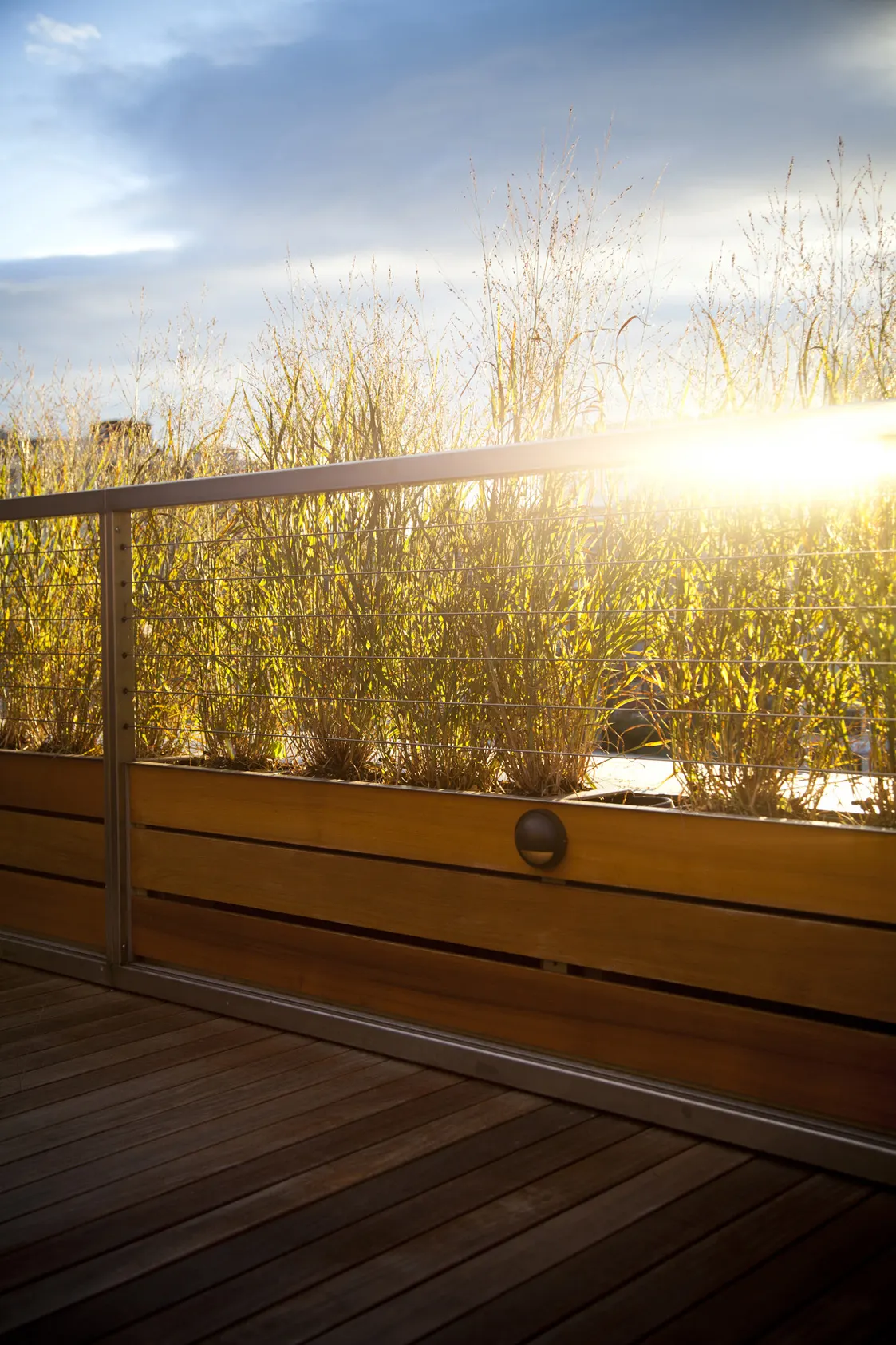 Tall grasses in timber planters along the rail, lit by a low sun.